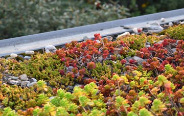 the cost of St Catherines green roof installation