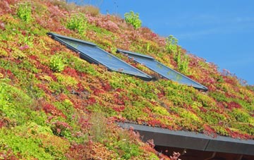 St Catherines living roof systems